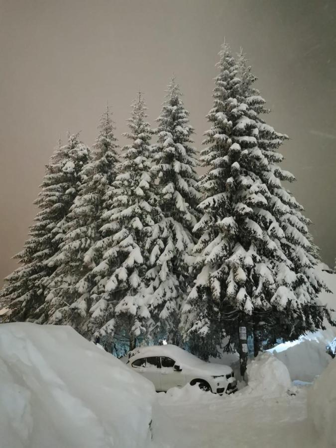 Apartments Zed Vila Zvoncica Kopaonik Exterior photo